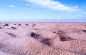 Sand am Meer – schwierige Entscheidungen können durch ein Zuviel an Optionen kommen