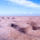 Sand am Meer – schwierige Entscheidungen können durch ein Zuviel an Optionen kommen